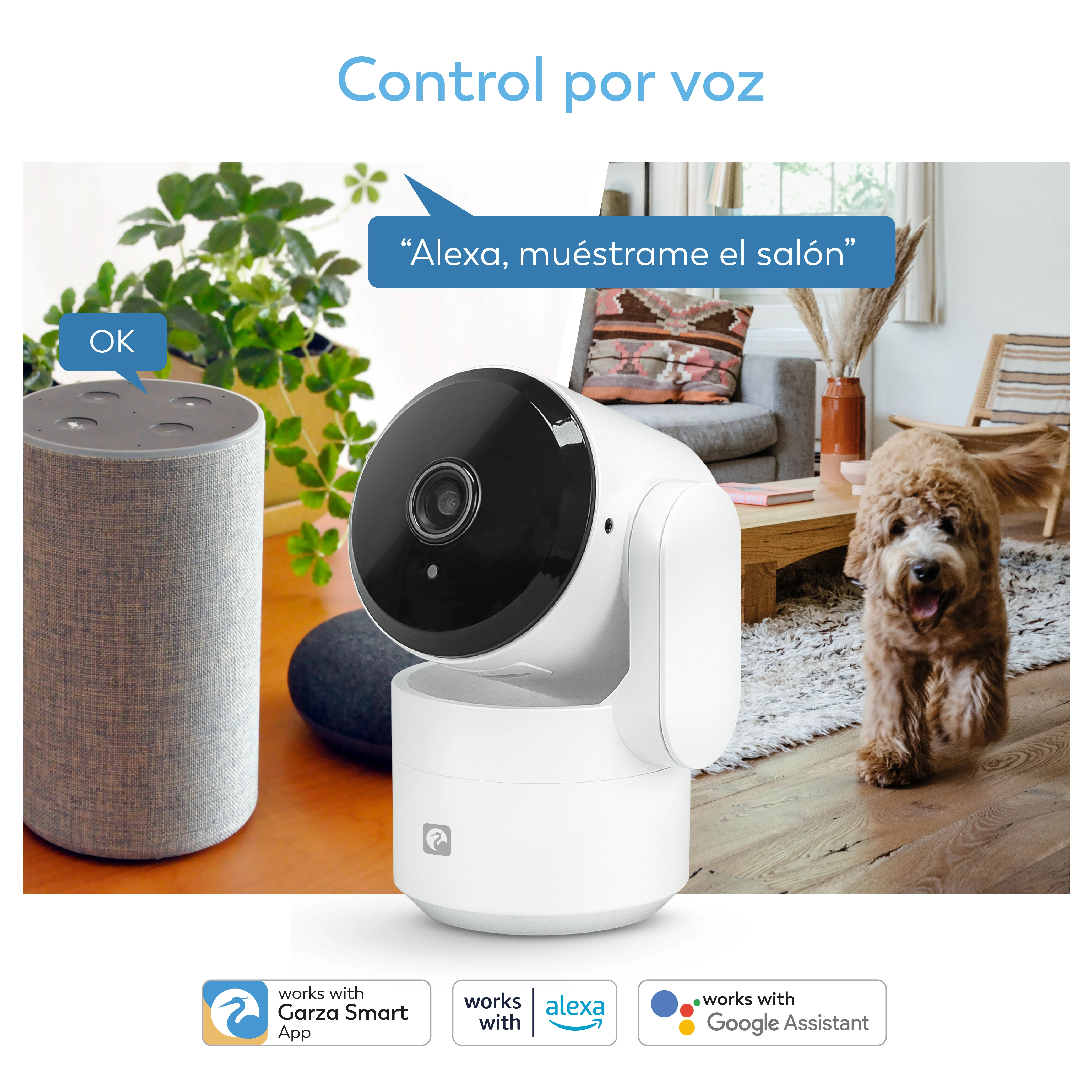 Imagen del producto 5